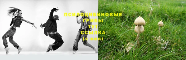 крисы Горнозаводск