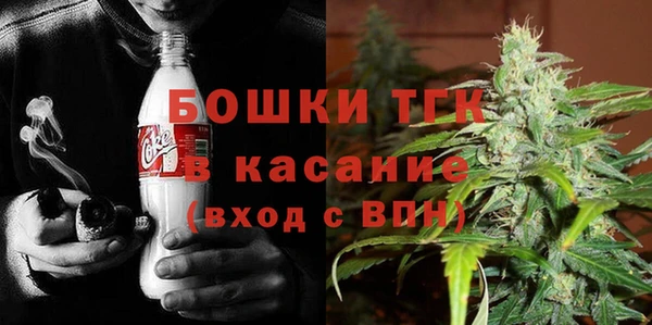 эйфоретик Горняк