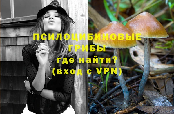 эйфоретик Горняк