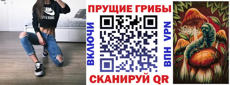 Купить где Старая Русса Галлюциногенные грибы MAGIC MUSHROOMS